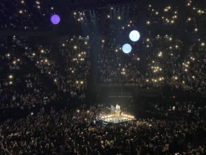 Jonas Brothers Bercy (3)