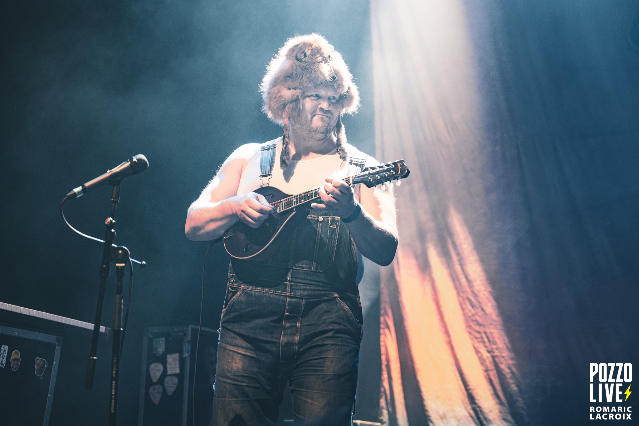 Steve’n’Seagulls