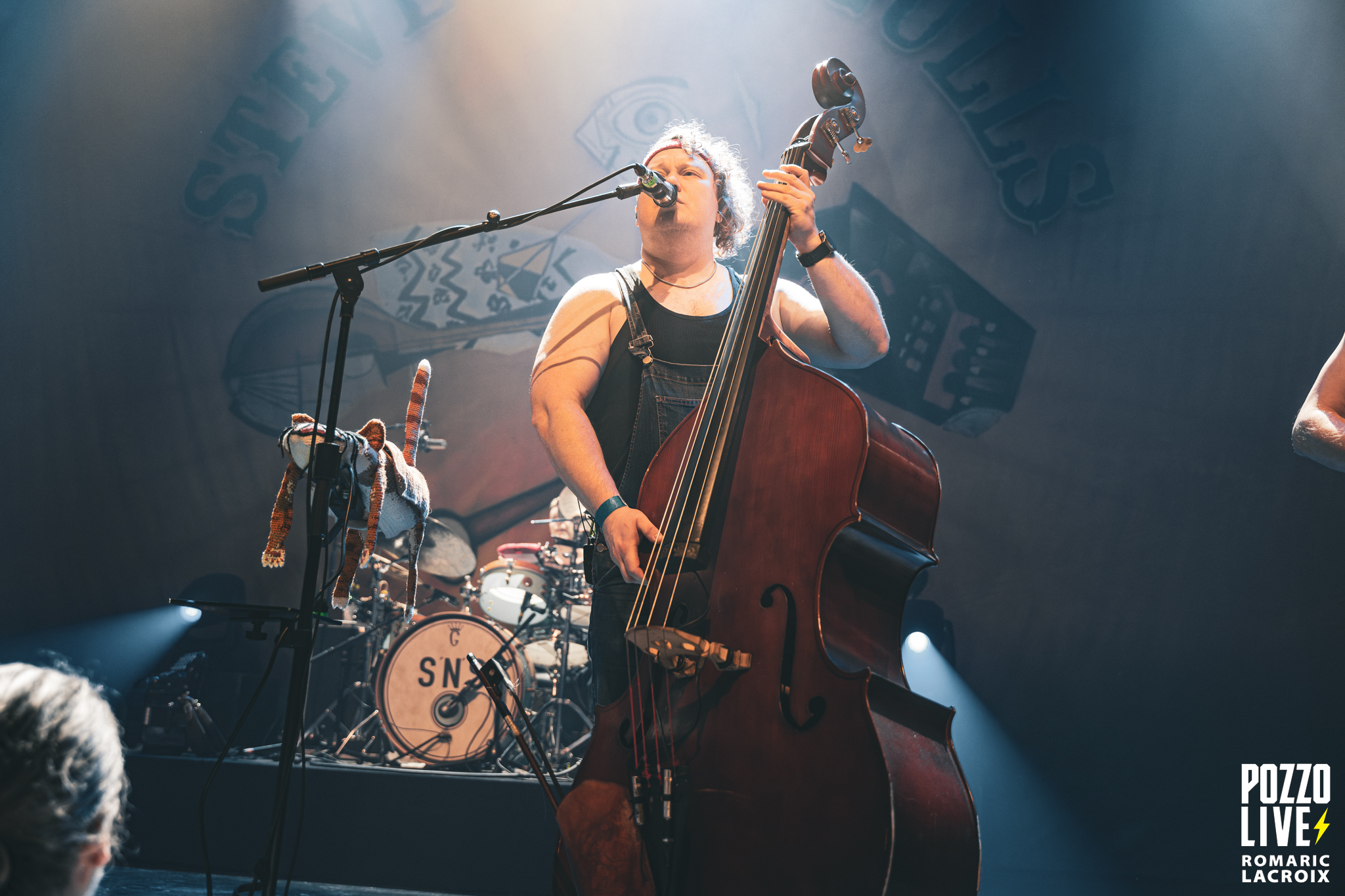 Steve’n’Seagulls