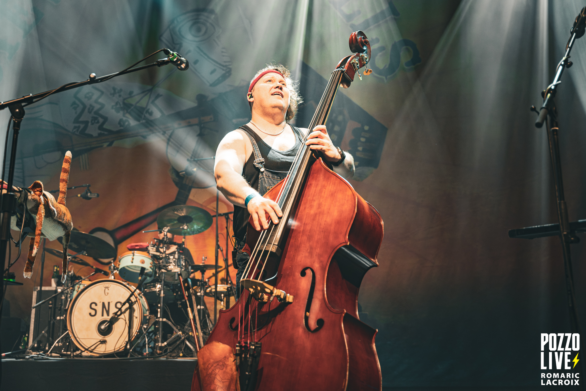 Steve’n’Seagulls