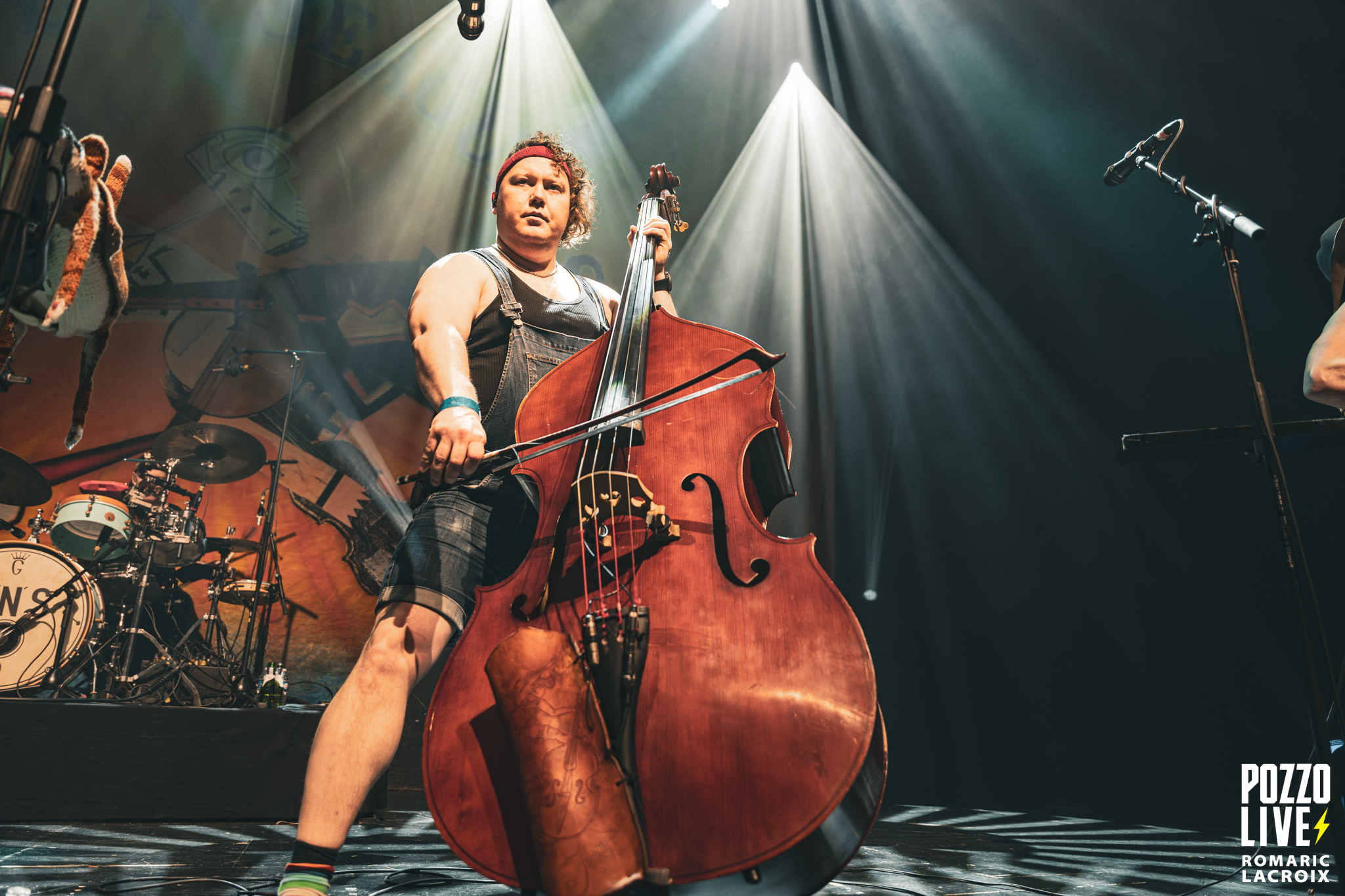 Steve’n’Seagulls