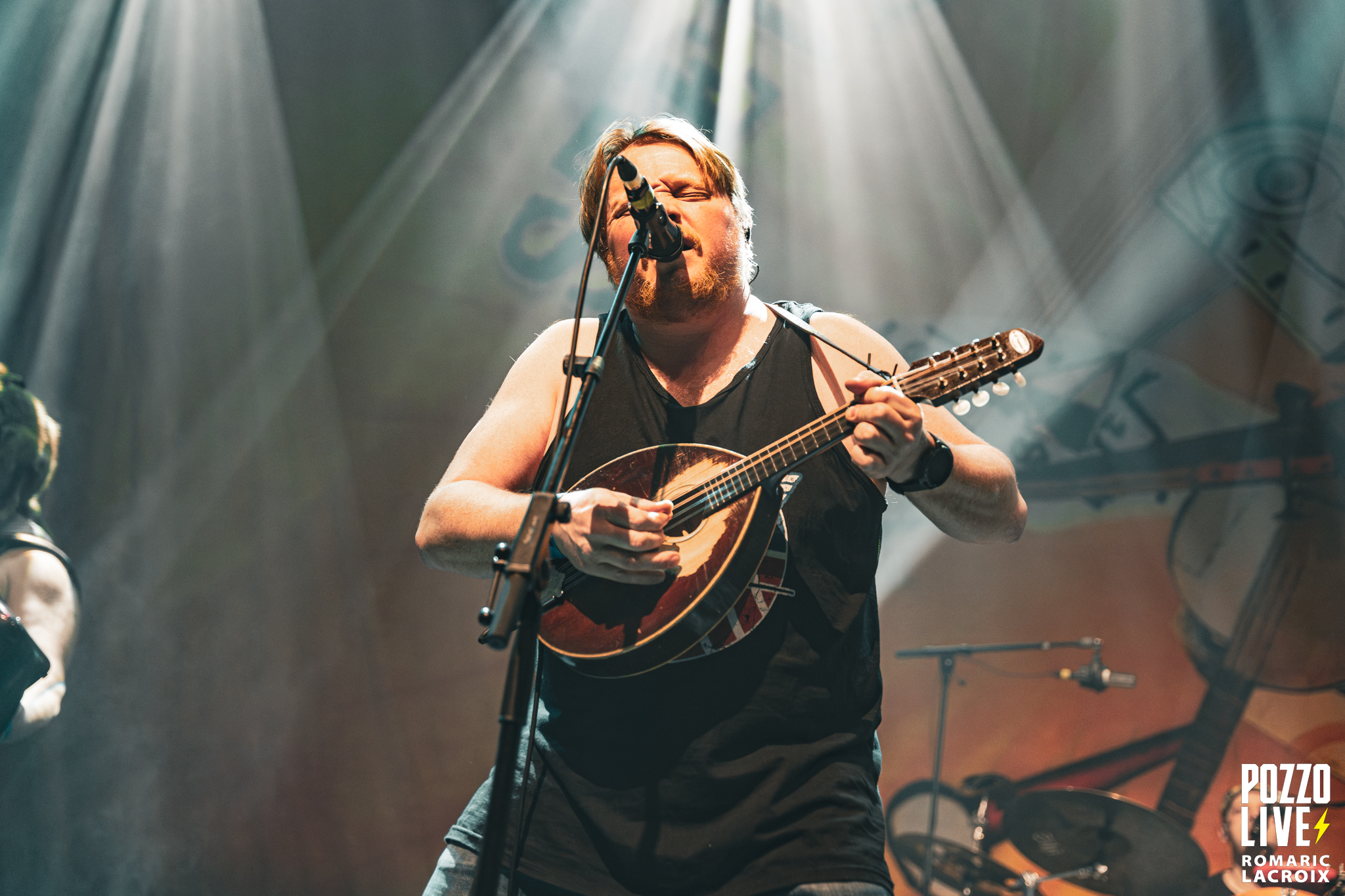 Steve’n’Seagulls