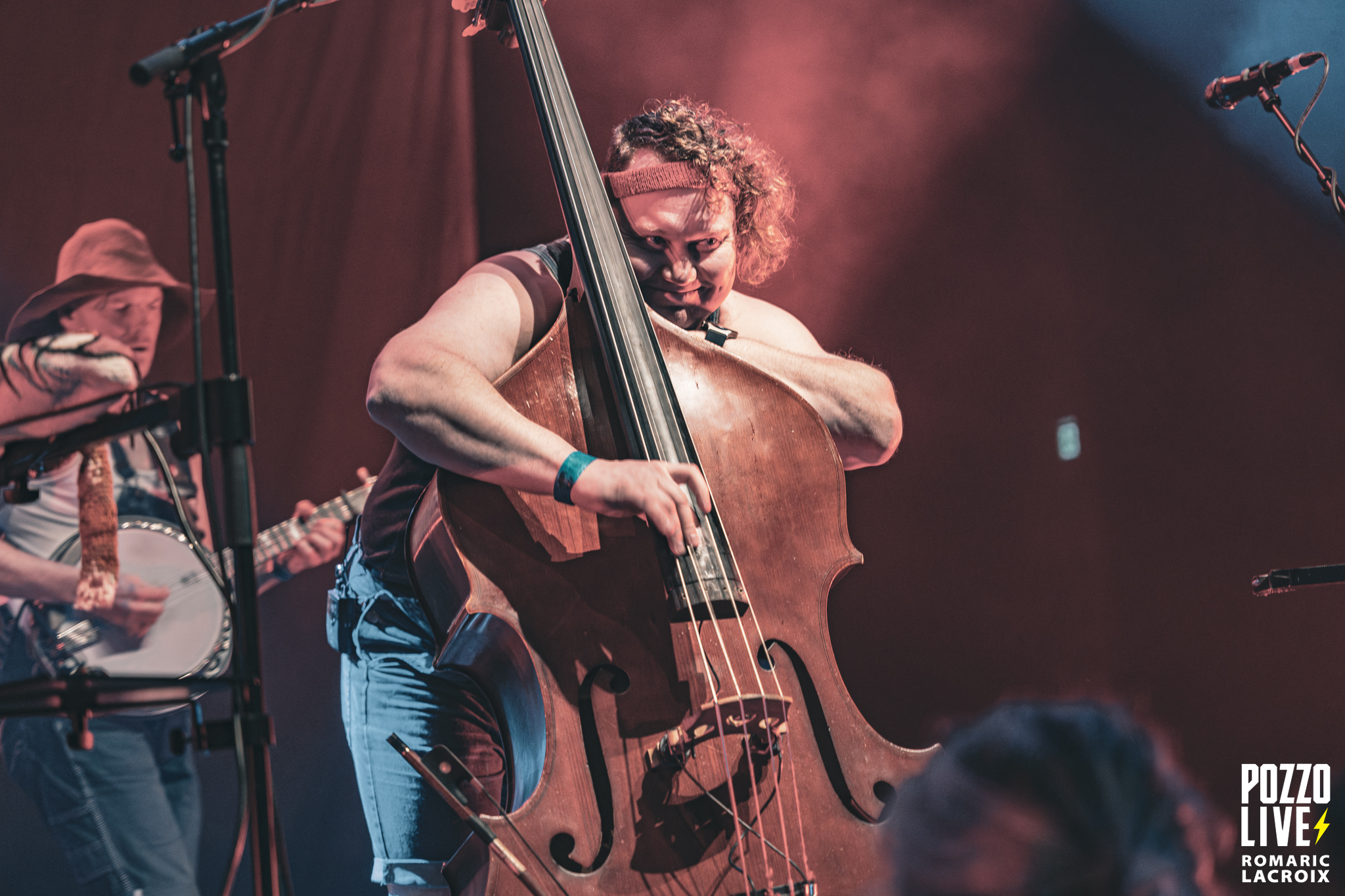 Steve’n’Seagulls